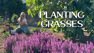 Planting Grasses in the Best for the West Garden! :: Dig, Plant, Water, Repeat