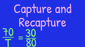 GCSE Maths: Capture and Recapture