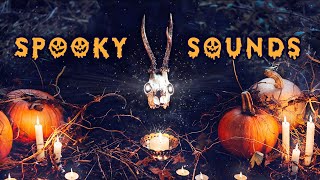 SPOOKY Halloween Ambience: scary halloween background sounds for trick or treat, reading, party