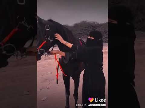 صوتڪ مدى لل مر وال مر رحآلووعيونڪ ملذآت ألزمن وأمنيآتﮫ