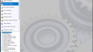 AddonSoftware Productivity Tip - Zoom Feature