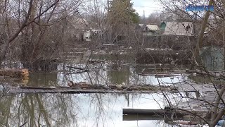 Течение все снесло. Водная стихия нанесла чудовищный ущерб садам за строительным техникумом