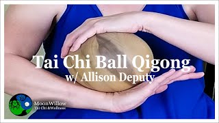 Tai Chi Ball Qigong w/Allison [FULL CLASS] screenshot 2