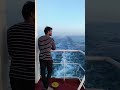 #motivation #sea #sealife