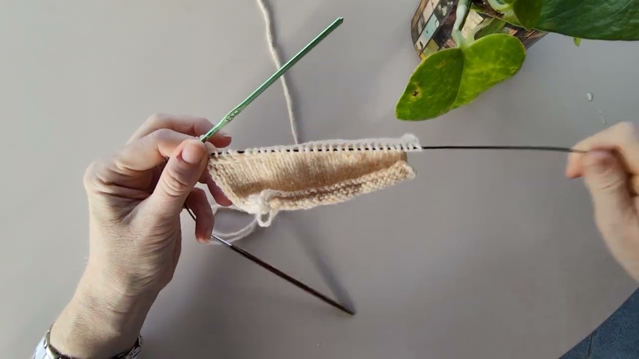 The lateral braid on your knitting project, using a crochet hook.