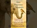 FORGIVENESS is not a gift for the other person, but a vital tool for your own inner peace and health