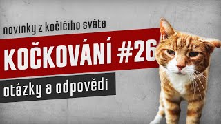 KOČKOVÁNÍ #26 - Stream: otázky a odpovědi by Kočkování 62 views 1 month ago 31 minutes