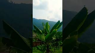 Download Lagu pemandangan di pegunungan.  Eungkan #jalanyangjauhjanganlupapulang MP3