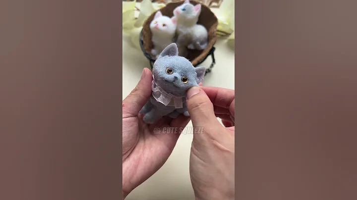 Watch the video about So cute the chartreux #cat #squishy #satisfying #cute #stressrelief