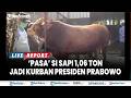🔴 PRESIDEN PRABOWO PILIH PASA, Sapi Bondowoso Seberat 1,06 Ton untuk Kurban di Idul Adha