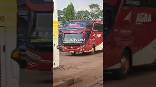 telolet mengular bus agra mas #teloletbus #bismania #telolet #teloletmengular