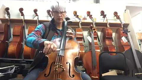 Adjusting Wolf Suppressor on Cello