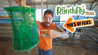 Jason Crocker reviews The Ranch Fly Trap