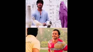 All Time Blockbuster Comedy Status Wait For End Royal Maxb Status