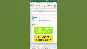 Excel技巧小数按位数对齐 #excel #learnexcel #exceltips #exceltricks #learnexcelfree #learnexcelonline