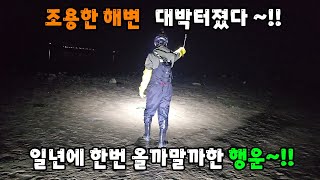 조용한 해변 대박터졌다 ~!! 일년에 한번 올까말까한 행운~!!
