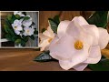 Paper Magnolia Flowers &amp; Wreath | DIY