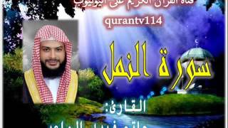 القارئ حاتم فريد الواعر سورة النمل