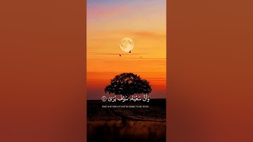 {وَأَنْ لَيْسَ لِلإِنسَانِ إِلَّا مَا سَعَى}..قارئ.محمد عطالله..سورة النجم