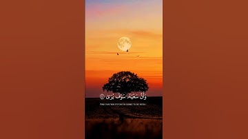 {وَأَنْ لَيْسَ لِلإِنسَانِ إِلَّا مَا سَعَى}..قارئ.محمد عطالله..سورة النجم