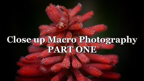 Close up Macro photography PART 1