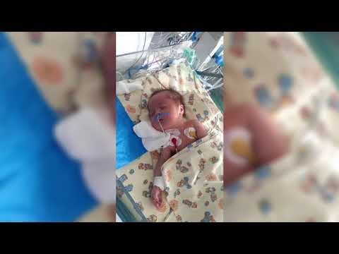 გიორგი ზიბზიბაძე