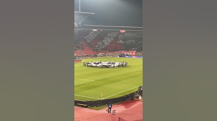 Crvena Zvezda vs VfB Stuttgart 27.11.2024. 🔥🇷🇸Champions League 🏆 #ultras #football