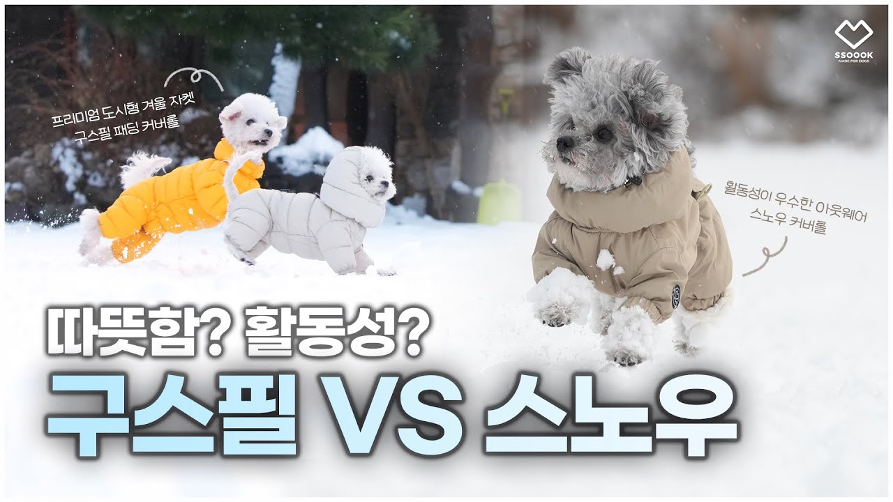 どのパディングジャケットがいい？SSOOOK グースフィール vs スノ