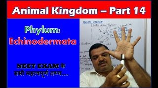 Echinoderms Characteristics | Animal Kingdom | NEET Bio | Part 14