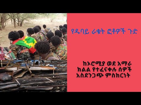 ቪዲዮ: “እንቁራሪት ልዕልት” ተረት ተረት ምን ዓይነት እንግዳ እና ባህላዊ ኮዶች በስላቭስ ጥንታዊ ልማዶች ተተርጉመዋል