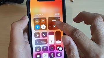 iPhone 11 Pro: How to Enable / Disable Magnifier in Accessibility Shortcuts