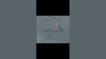 #الحمدلله #اكسبلور #الرحمن #سورة_الكهف #دعاء #جمعة_مباركة #اللهم_صل_وسلم_على_نبينا_محمد