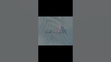 #الحمدلله #اكسبلور #الرحمن #سورة_الكهف #دعاء #جمعة_مباركة #اللهم_صل_وسلم_على_نبينا_محمد