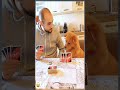 Eat together, happy together. #pet #funny #dog #shorts #shortvideo
