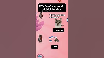 How Chaperone works. #proteinfolding #ubiquitin #proteasome #CFTR #insulin #medicalmemes