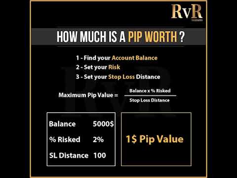 How much is a pip worth