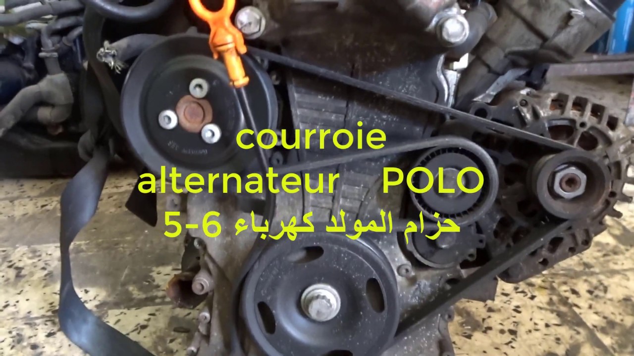 courroie alternateur POLO 5 6 - حزام مولد كهرباء @mecaniquemokhtartunisie-  