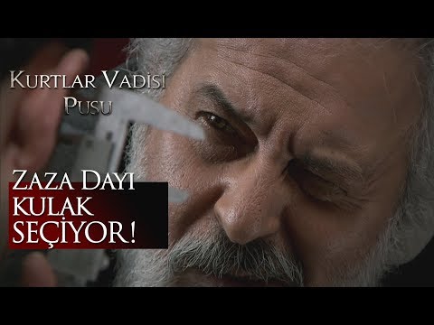 Zaza Dayı kulak seçiyor!