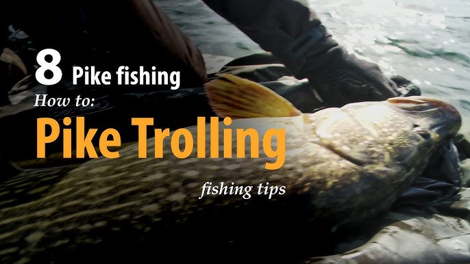 10 Catch-Boosting Trolling Tips