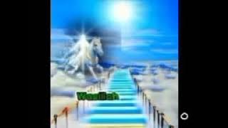 Jalan Wasillah Yang Ku Cari