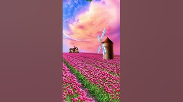 سورة الإخلاص💞 بصوت جميل جدا🌷 حالات واتس اب دينية قصيرة ✅