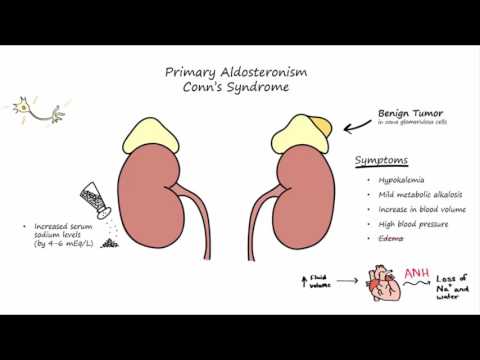 Aldosterone Mechanism of Action