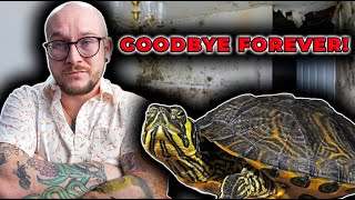 My Turtles DESTROYED My House! A Warning