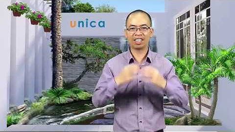 Tuyệt chiêu luyện Revit Arch - Lương Trainer