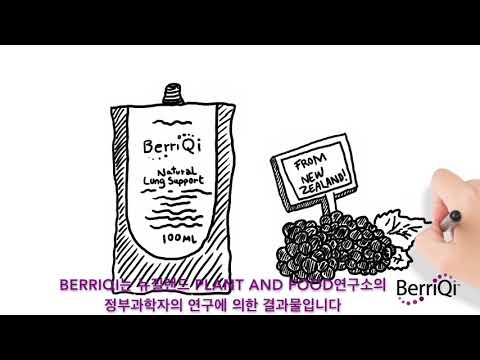 BerriQi™(베리치 -뉴질랜드산 보이젠베리) 폐건강