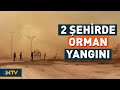 2 Şehirde Korkutan Orman Yangını | NTV