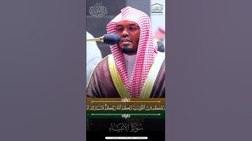 ﴿ذلِكُمُ اللَّهُ رَبُّكُم فَتَبارَكَ اللَّهُ ربُّ العالَمين﴾ #ياسر_الدوسري #القرآن_الكريم #سورة_غافر