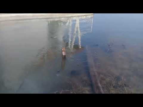 Datang Mancing lebih awal, ternyata airnya lagi surut#mancing #mancingliar #mancingikan #mancingseru