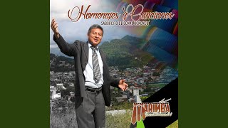Video thumbnail of "Marimba Sonal KoKonob' - Homenaje a Papá Chuz"