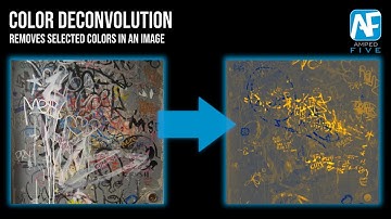 Color Deconvolution: Remove Selected Colors from an Image in Amped FIVE